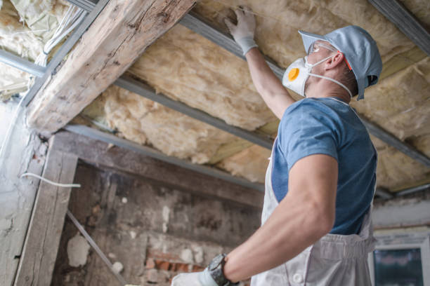 Best Insulation for Specific Applications in Olympia Fields, IL