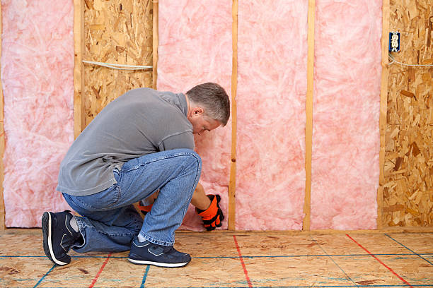 Best Specialized Insulation Services in Olympia Fields, IL