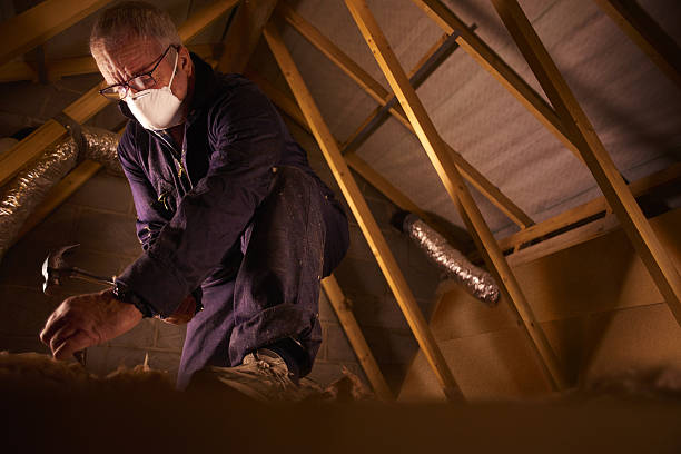 Best Commercial Insulation in Olympia Fields, IL